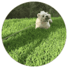 Steven Becker 5-star review for Atty. Joel Chorny, Criminal Justice Lawyer in Tucson